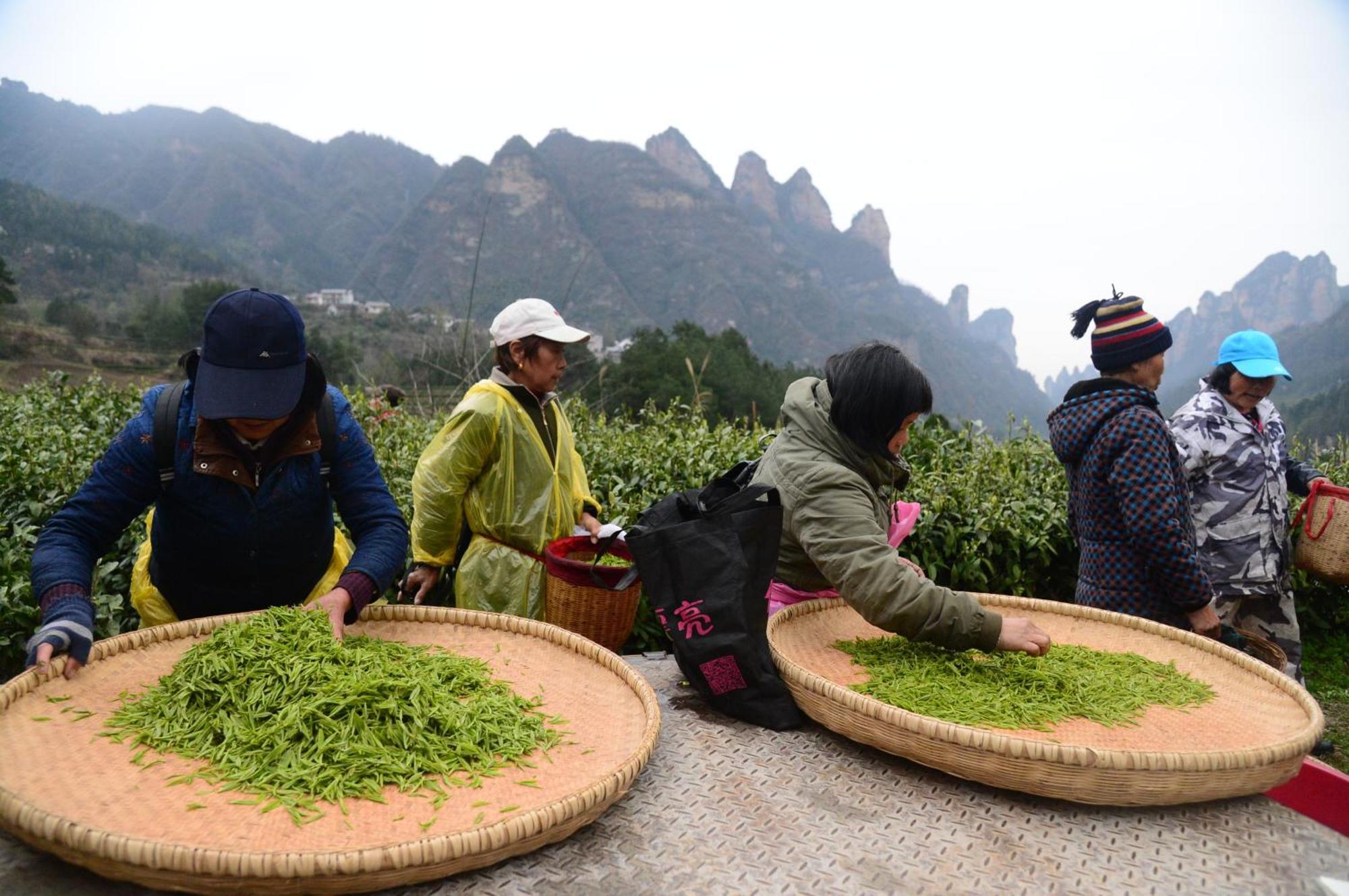 Xiaowuding Inn Zhangjiajie Tianmen Mountαin Ropeway Exterior foto